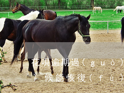 花唄逾期過(guò)一次什么時(shí)候能恢復(fù)-花唄逾期時(shí)間過(guò)長(zhǎng) 多長(zhǎng)時(shí)間之后才能正常使用[大哭]